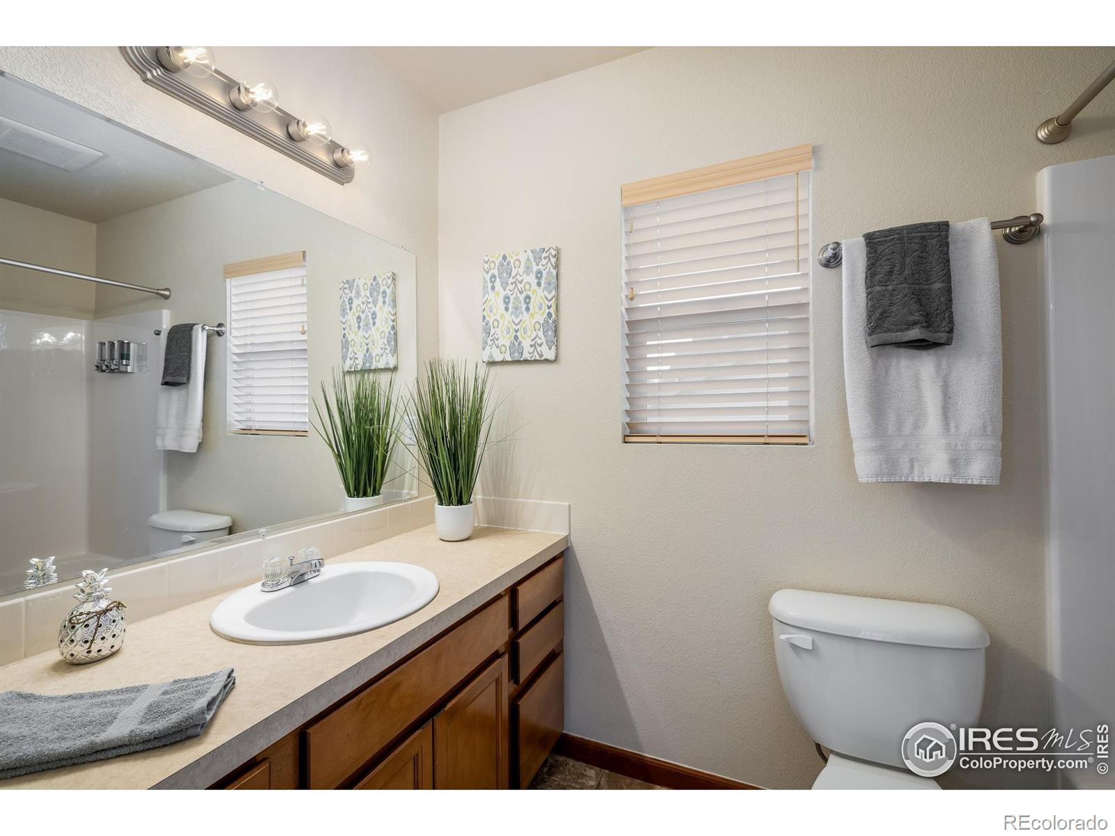 MLS Image #13 for 3389  hewitt street,loveland, Colorado