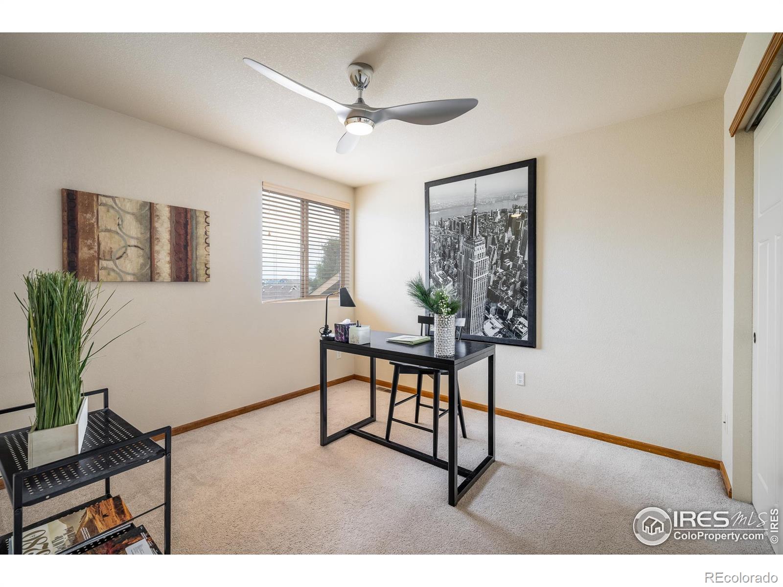 MLS Image #15 for 3389  hewitt street,loveland, Colorado