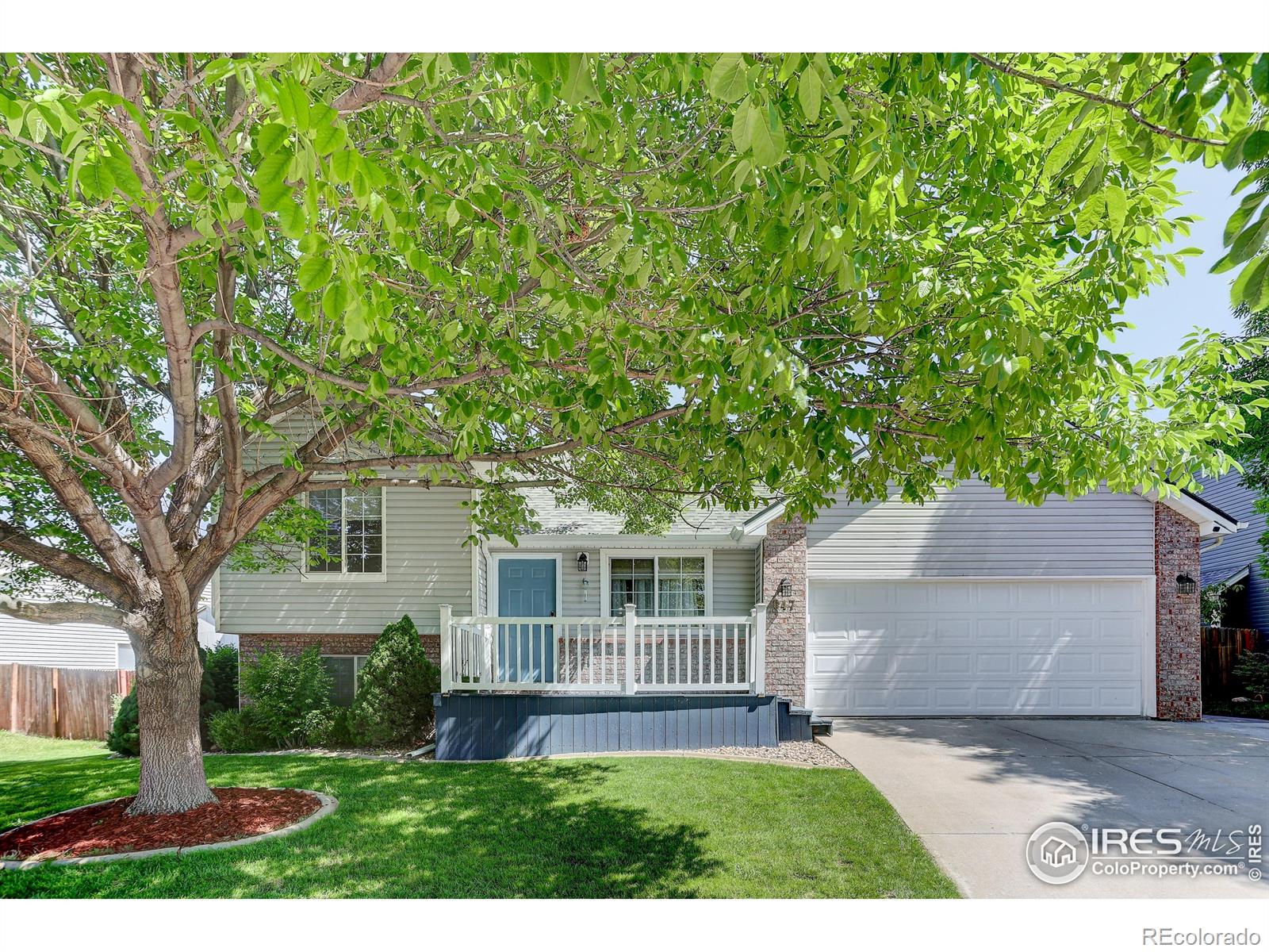 MLS Image #3 for 647  florence avenue,firestone, Colorado