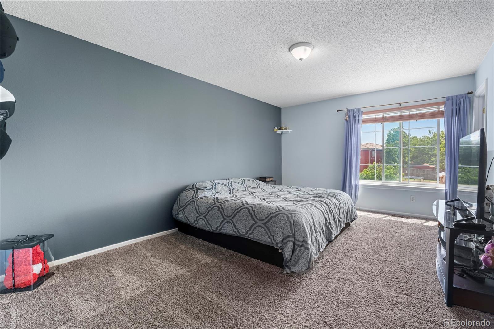 MLS Image #12 for 4184  netherland street,denver, Colorado