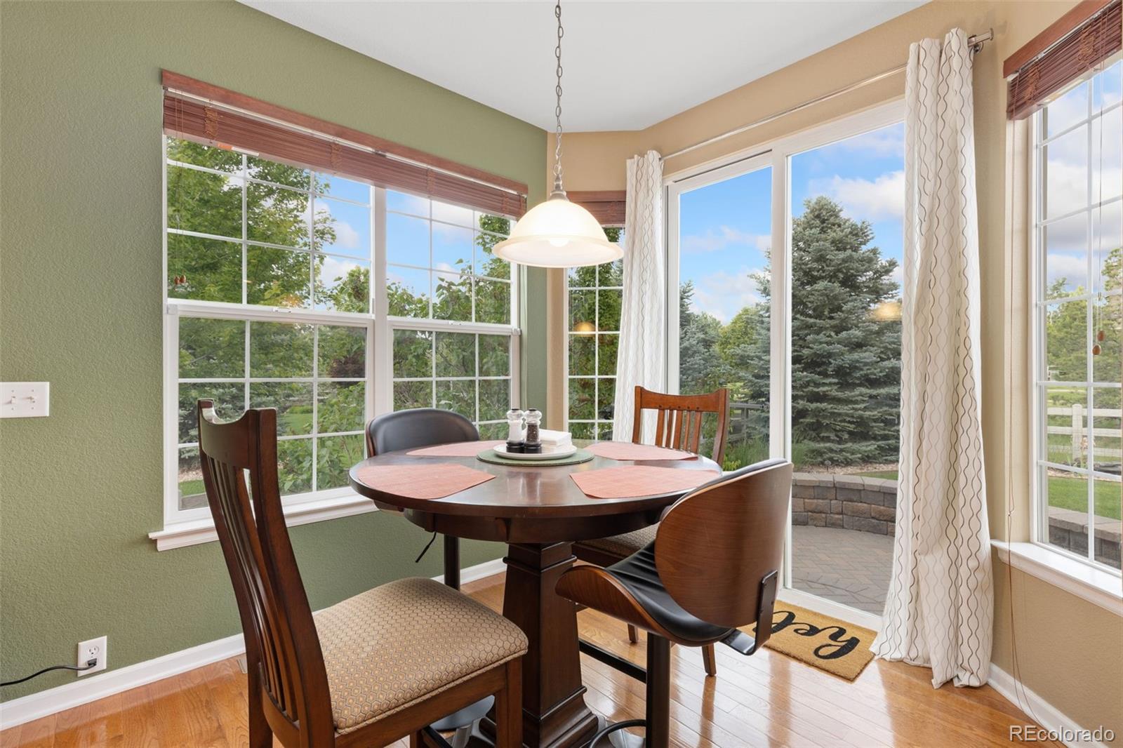 MLS Image #10 for 2647  gray wolf loop,broomfield, Colorado