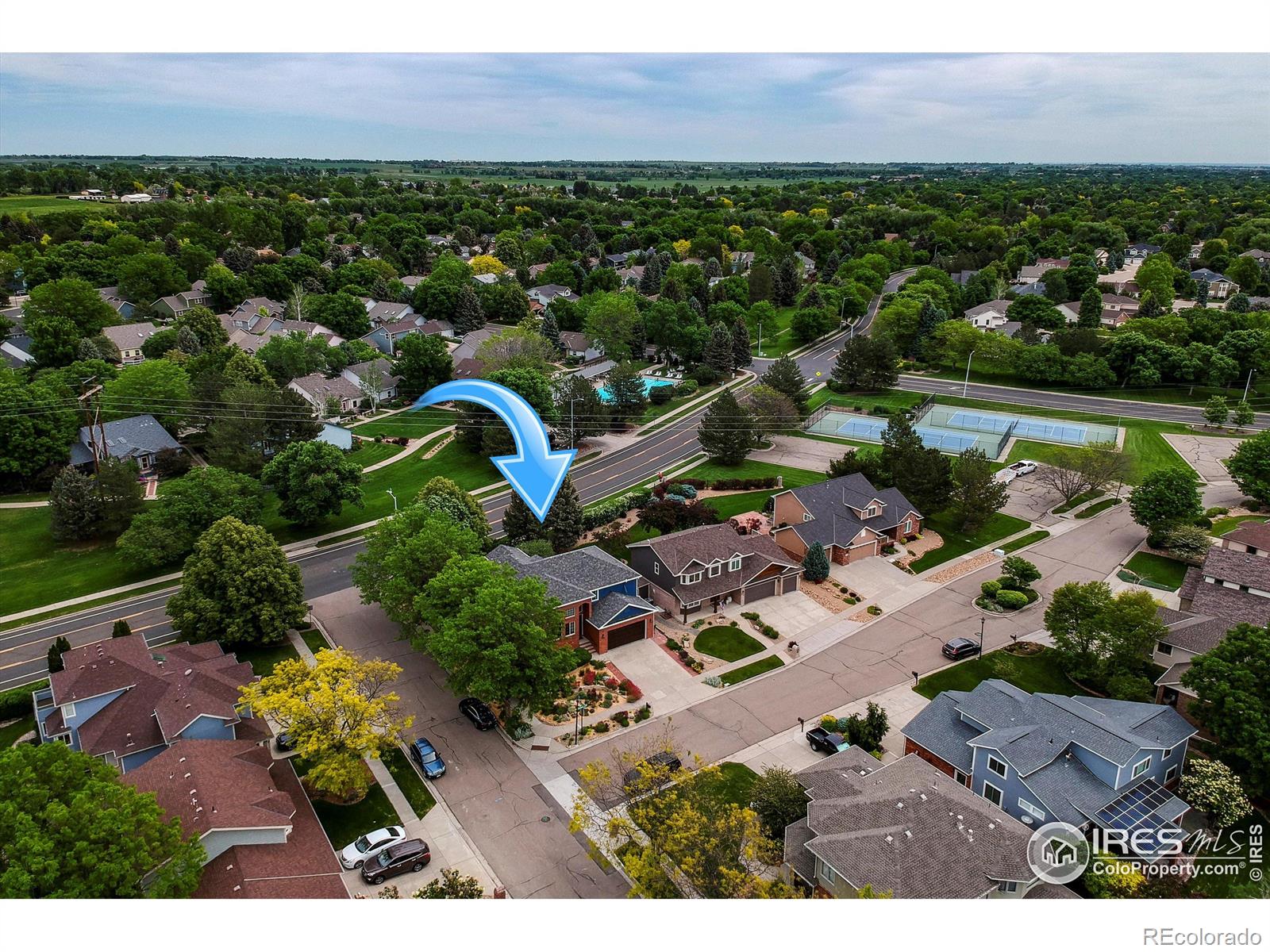 MLS Image #4 for 3142  captains lane,longmont, Colorado