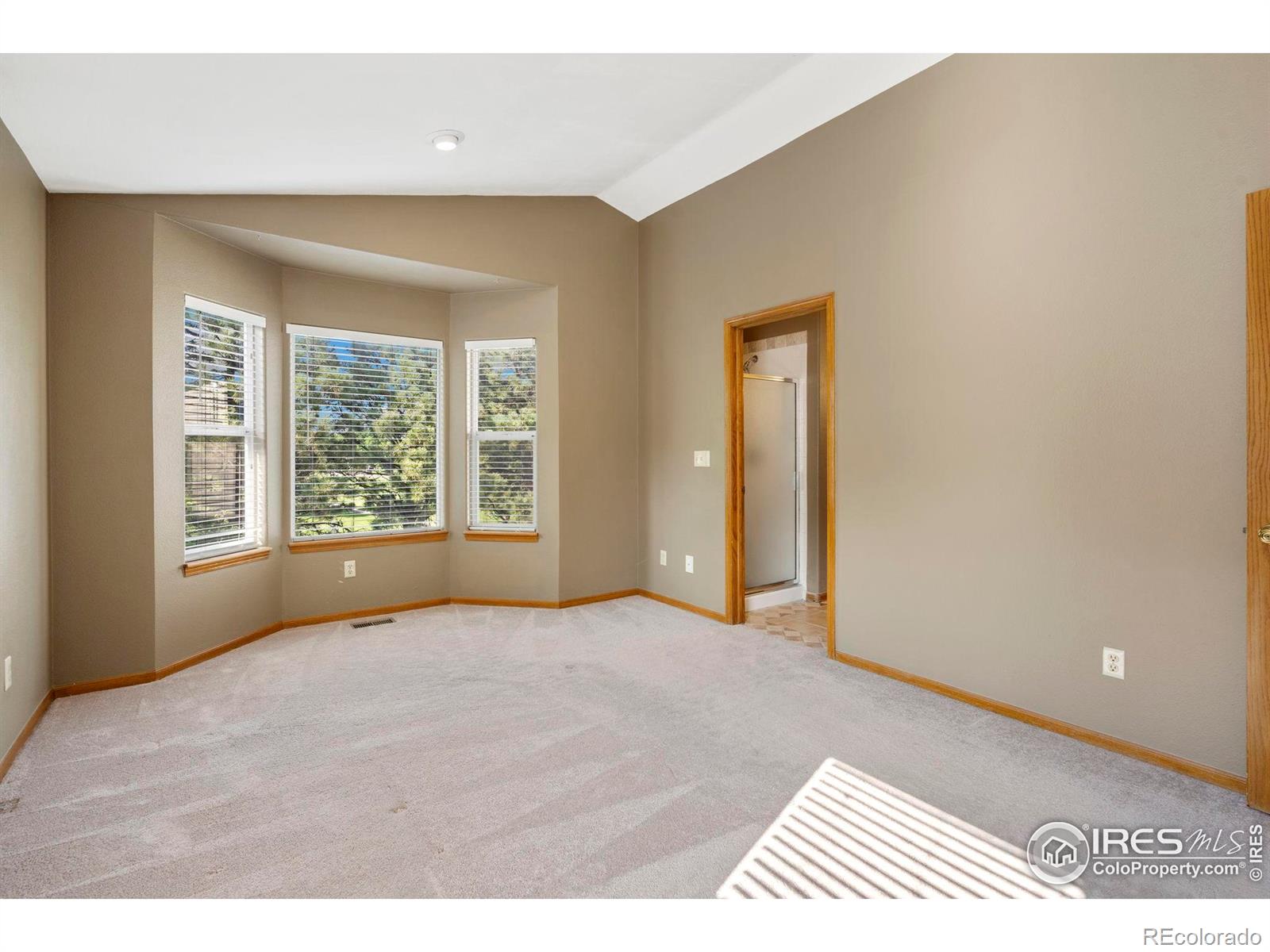 MLS Image #19 for 3509  pike circle,fort collins, Colorado