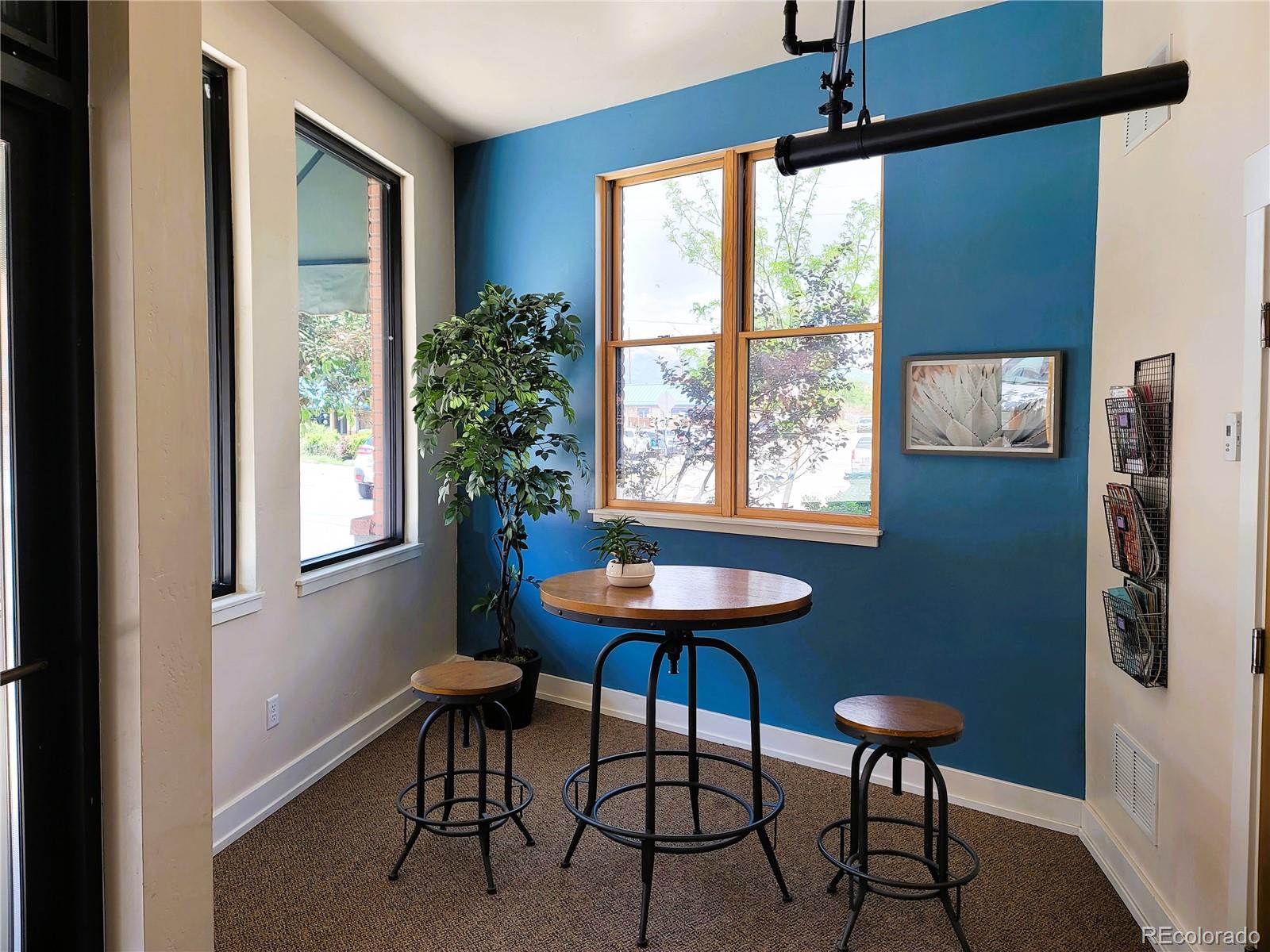 MLS Image #10 for 130 w sackett avenue,salida, Colorado