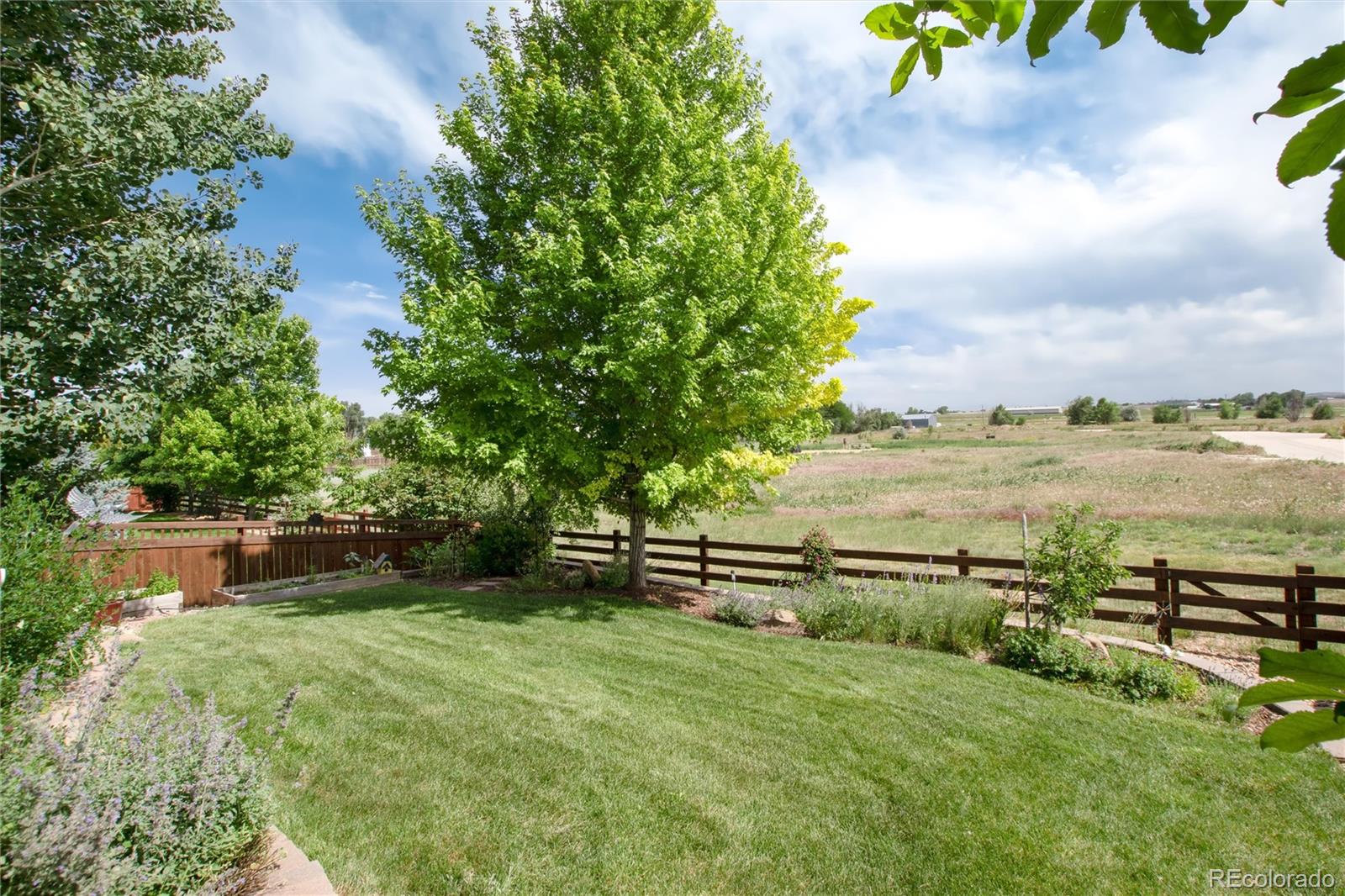 MLS Image #46 for 3027  walnut grove street,erie, Colorado
