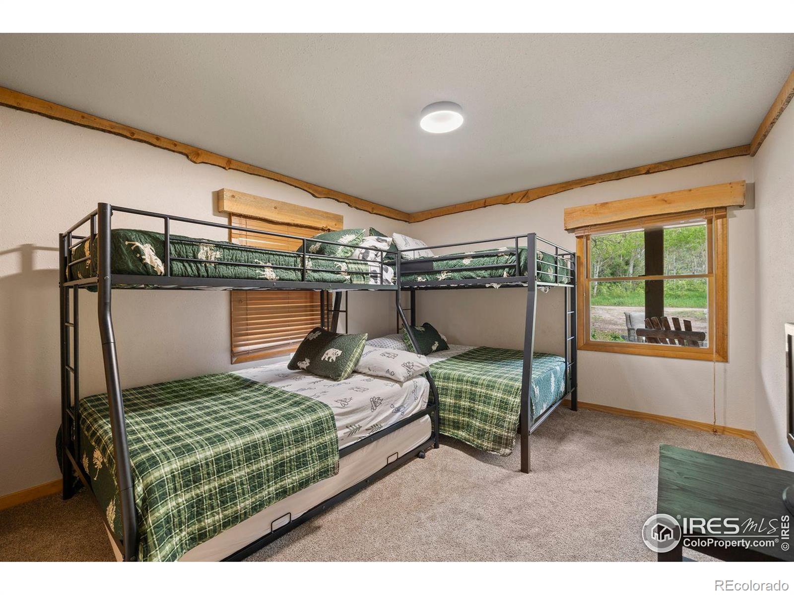 MLS Image #18 for 428  rustic road,bellvue, Colorado