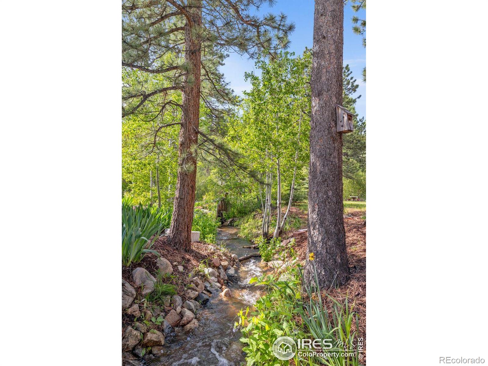 MLS Image #26 for 428  rustic road,bellvue, Colorado