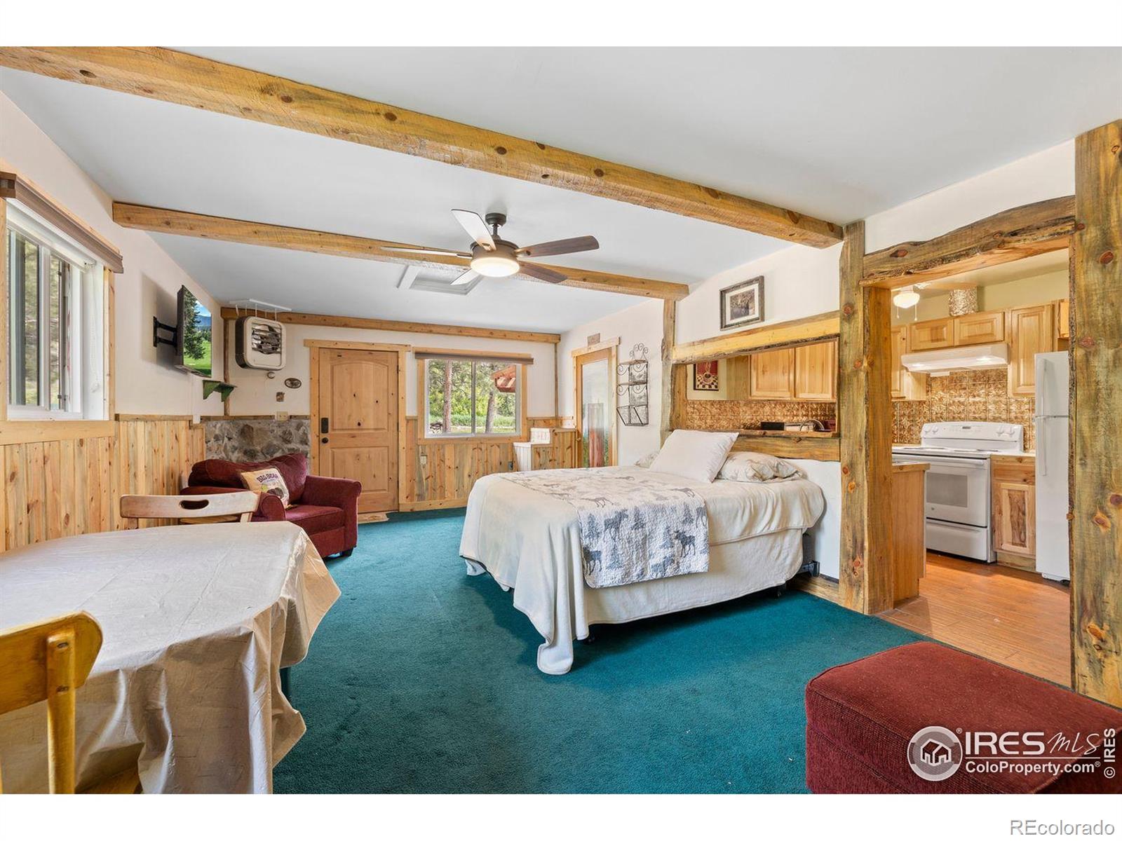 MLS Image #28 for 428  rustic road,bellvue, Colorado