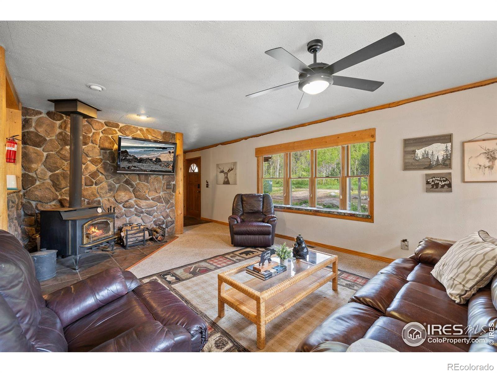 MLS Image #5 for 428  rustic road,bellvue, Colorado