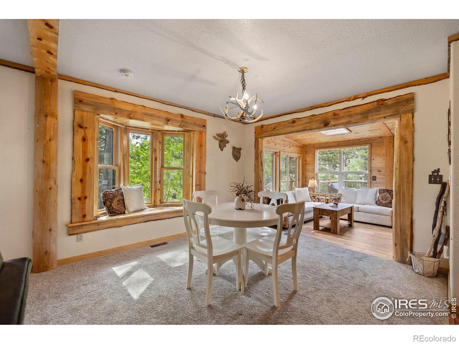 MLS Image #6 for 428  rustic road,bellvue, Colorado
