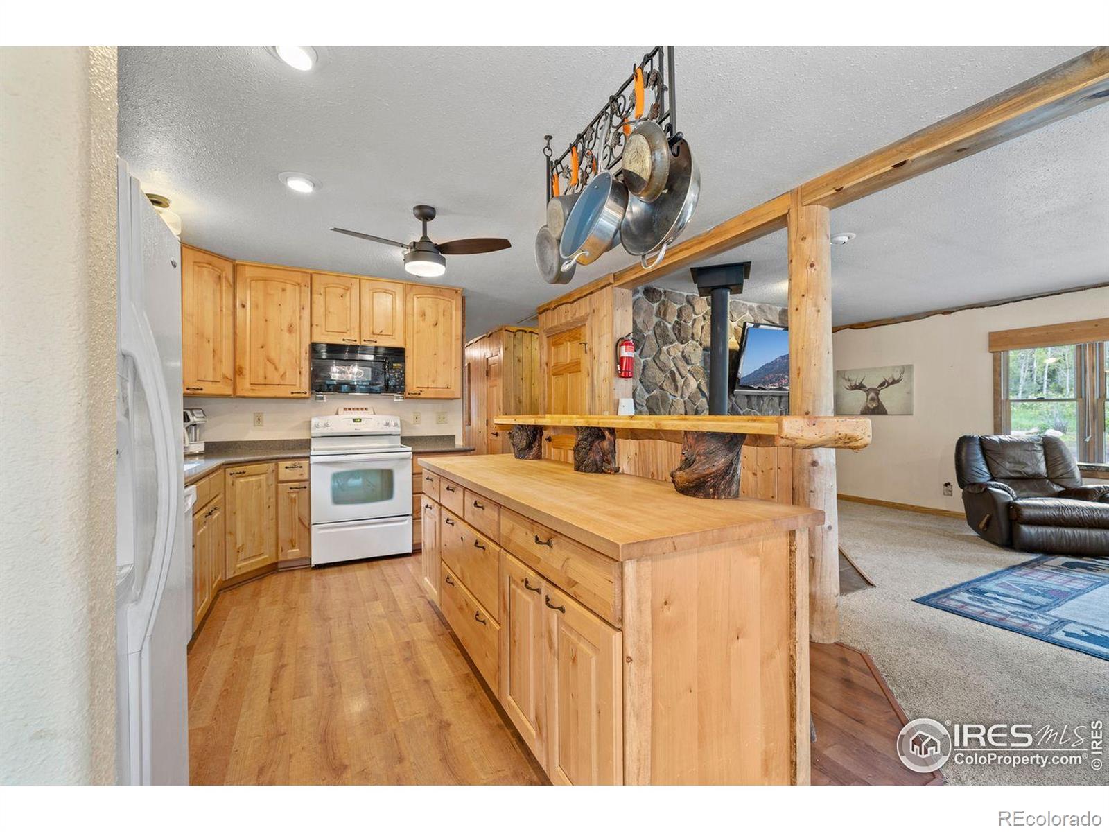 MLS Image #8 for 428  rustic road,bellvue, Colorado