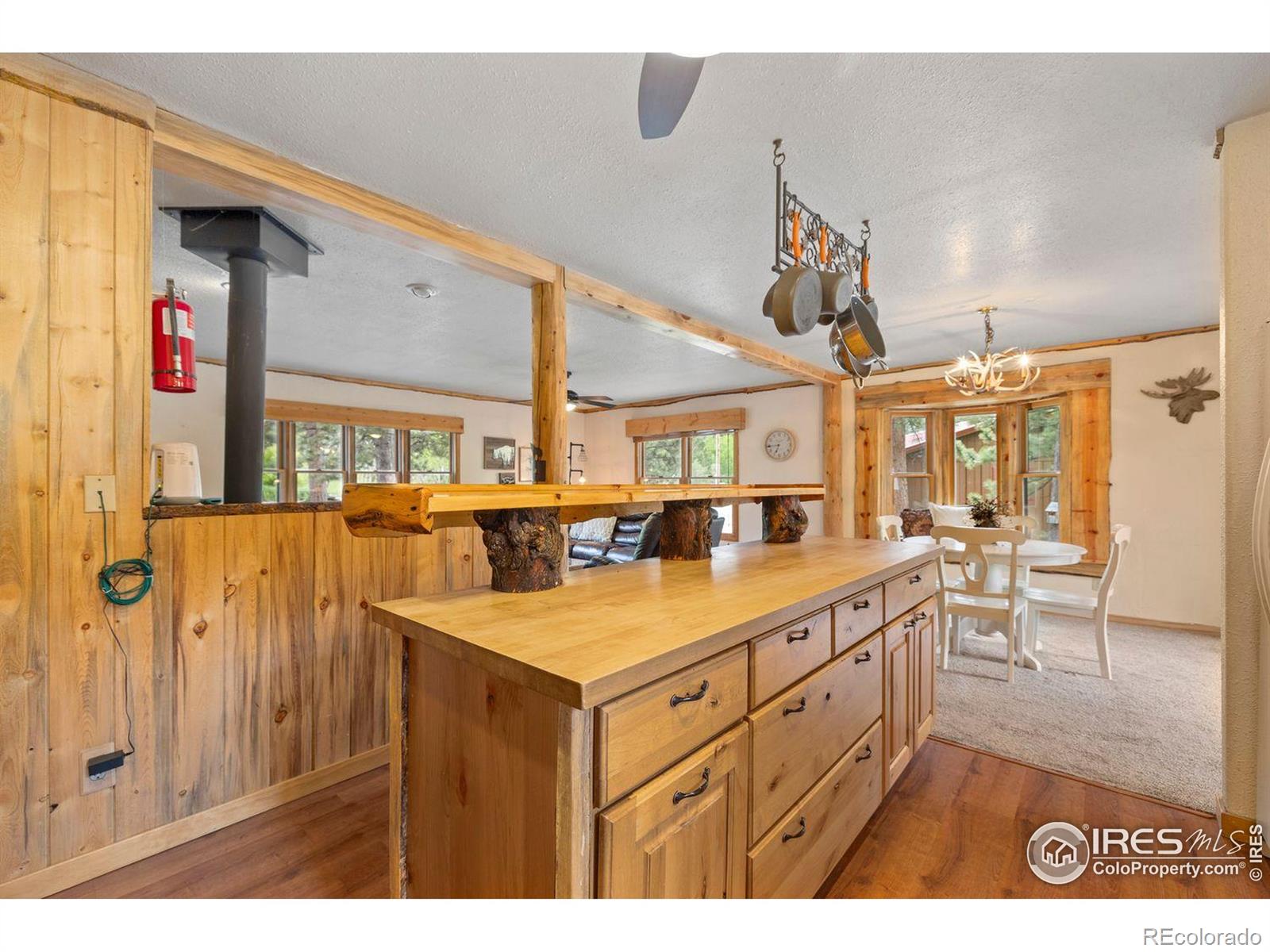 MLS Image #9 for 428  rustic road,bellvue, Colorado