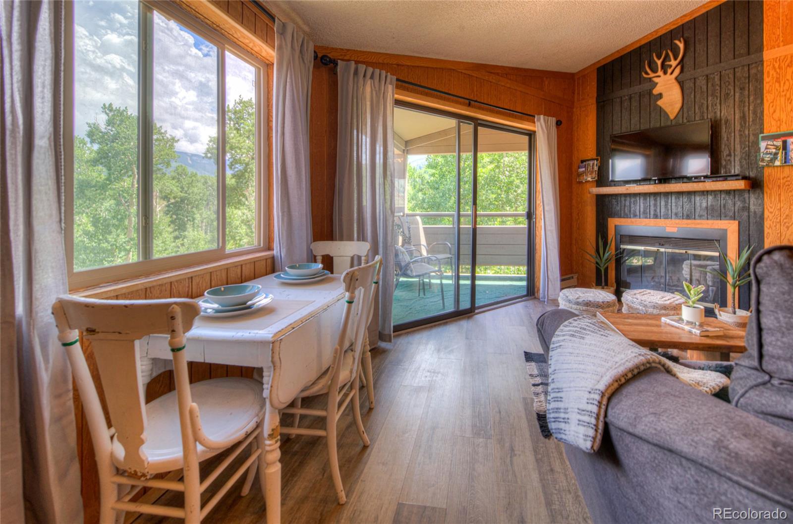 MLS Image #4 for 1420  panadero avenue,la veta, Colorado