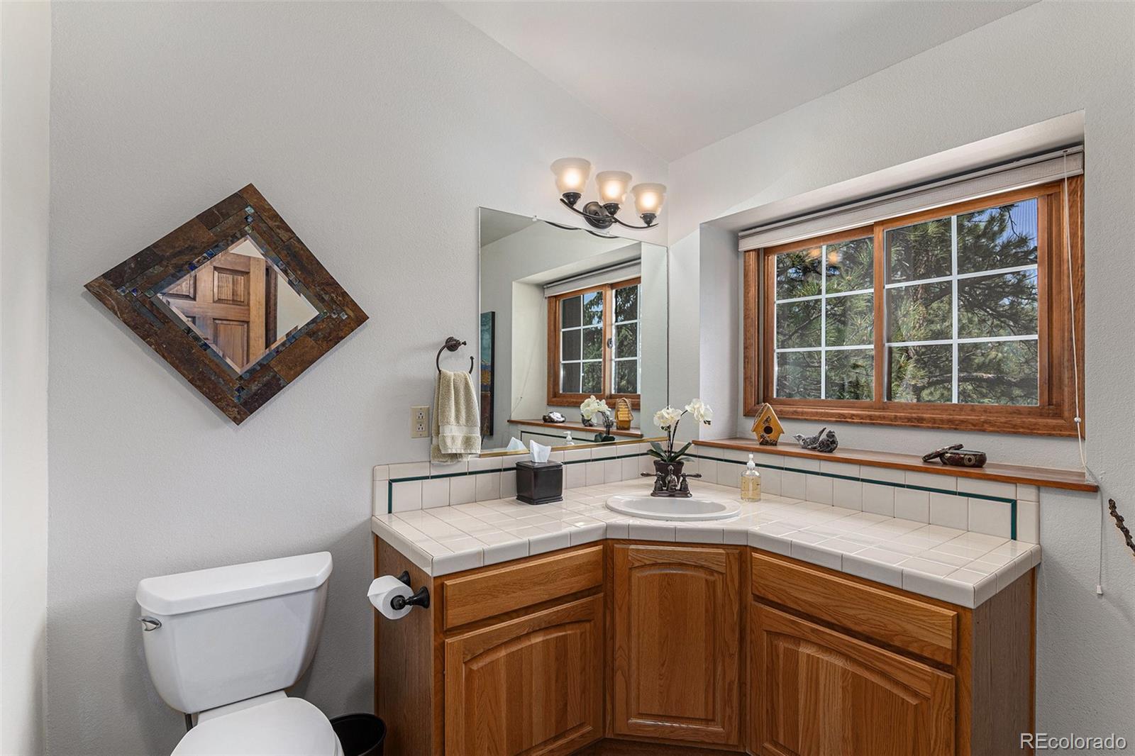MLS Image #10 for 533  tenderfoot drive,larkspur, Colorado