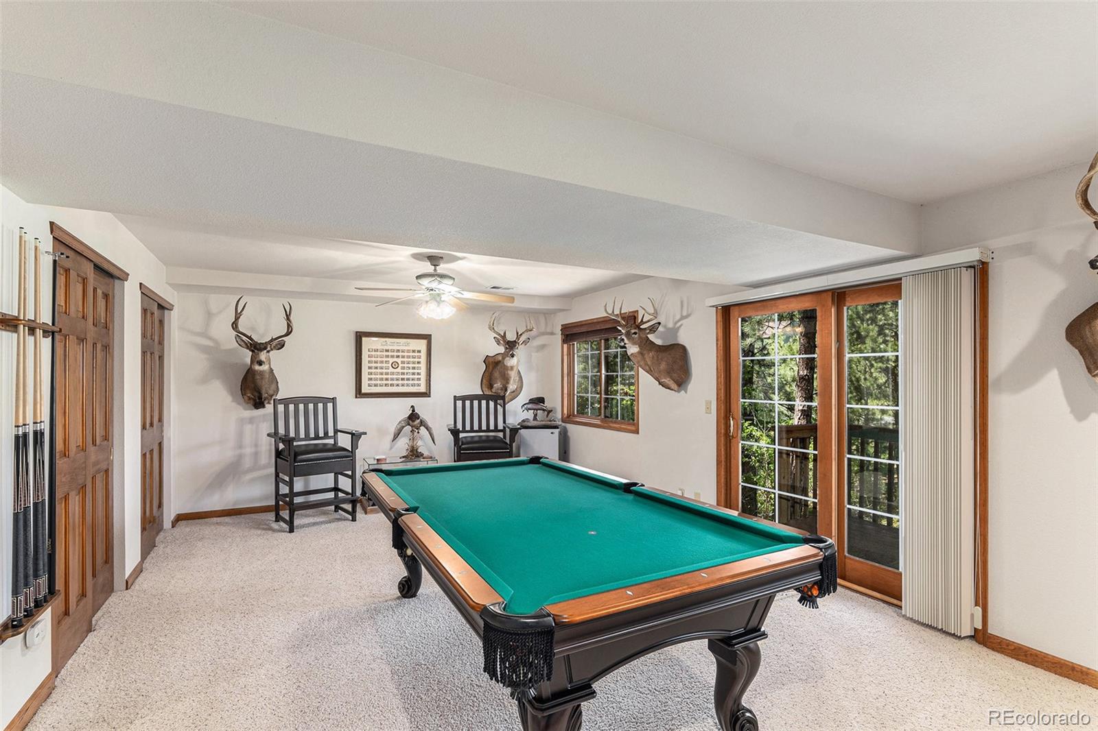 MLS Image #18 for 533  tenderfoot drive,larkspur, Colorado