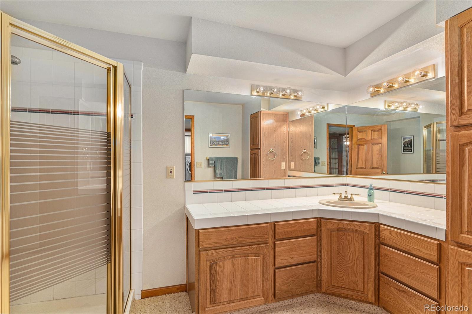 MLS Image #20 for 533  tenderfoot drive,larkspur, Colorado