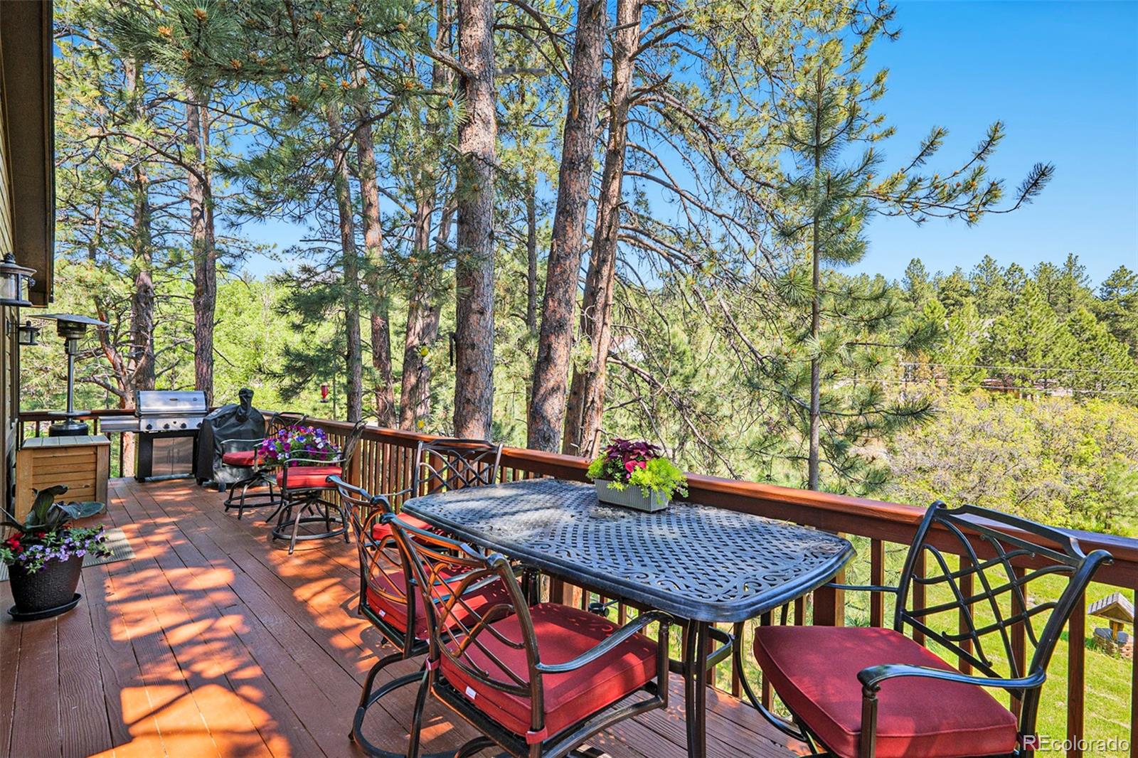 MLS Image #22 for 533  tenderfoot drive,larkspur, Colorado