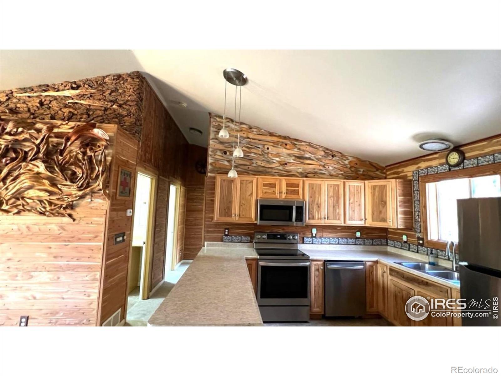 MLS Image #3 for 303  virginia road,bailey, Colorado