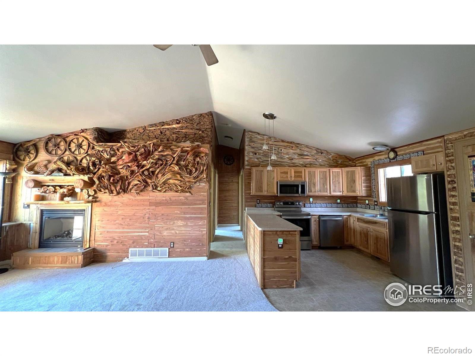 MLS Image #4 for 303  virginia road,bailey, Colorado