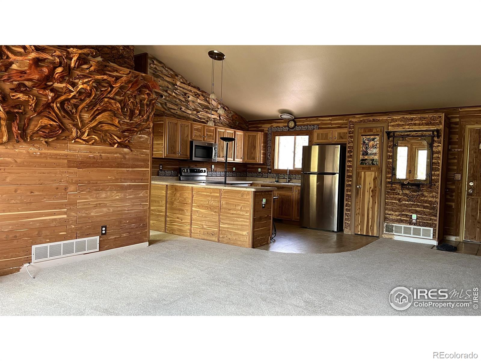 MLS Image #7 for 303  virginia road,bailey, Colorado
