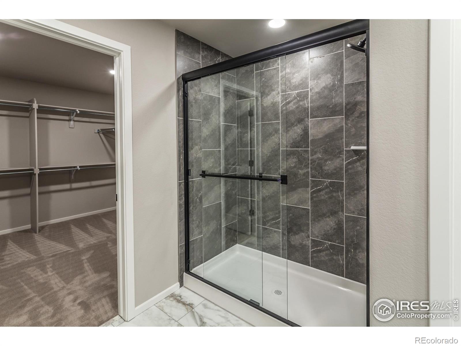 MLS Image #22 for 1590  sunflower way,johnstown, Colorado