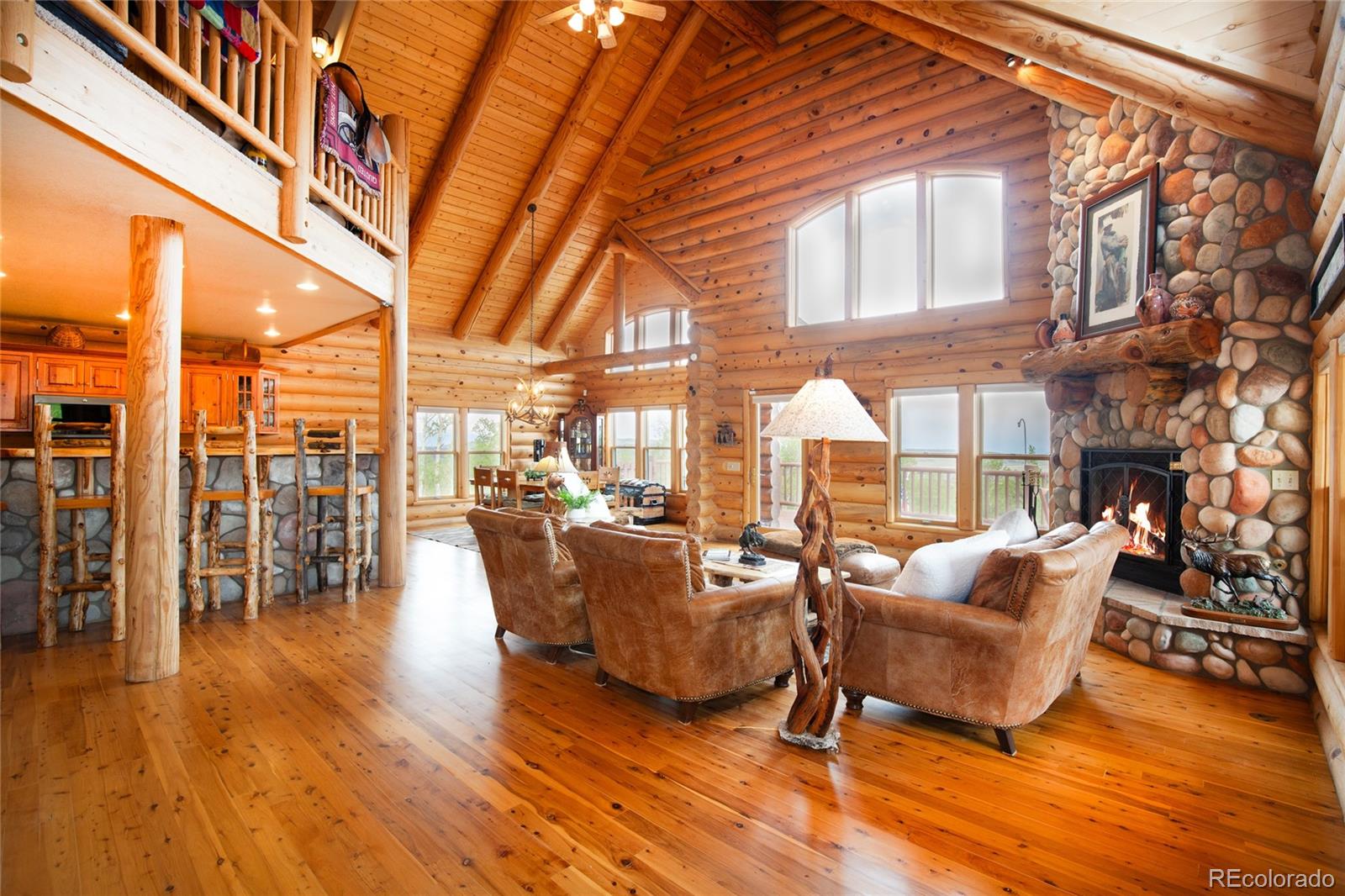 MLS Image #11 for 514  little baldy circle,fairplay, Colorado