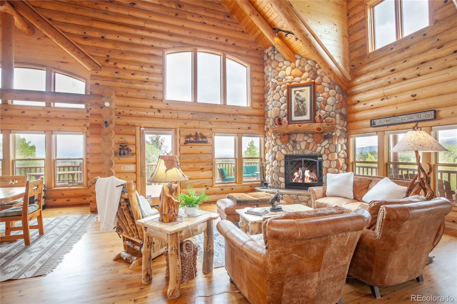 MLS Image #12 for 514  little baldy circle,fairplay, Colorado