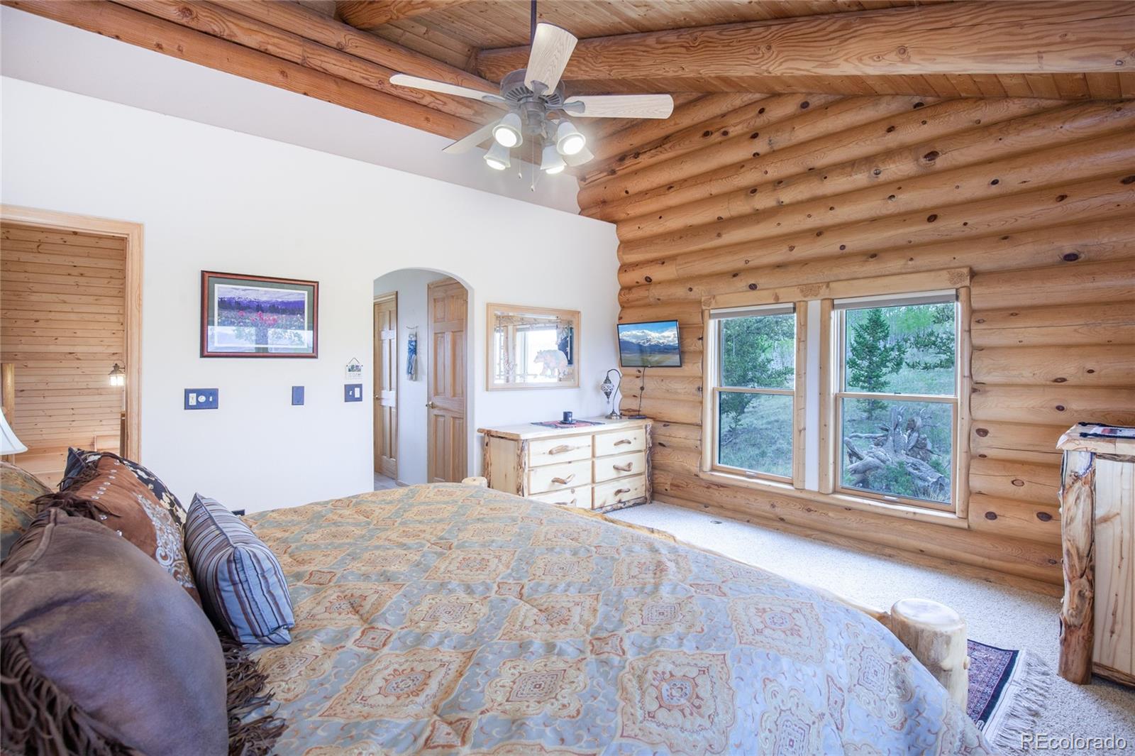 MLS Image #17 for 514  little baldy circle,fairplay, Colorado