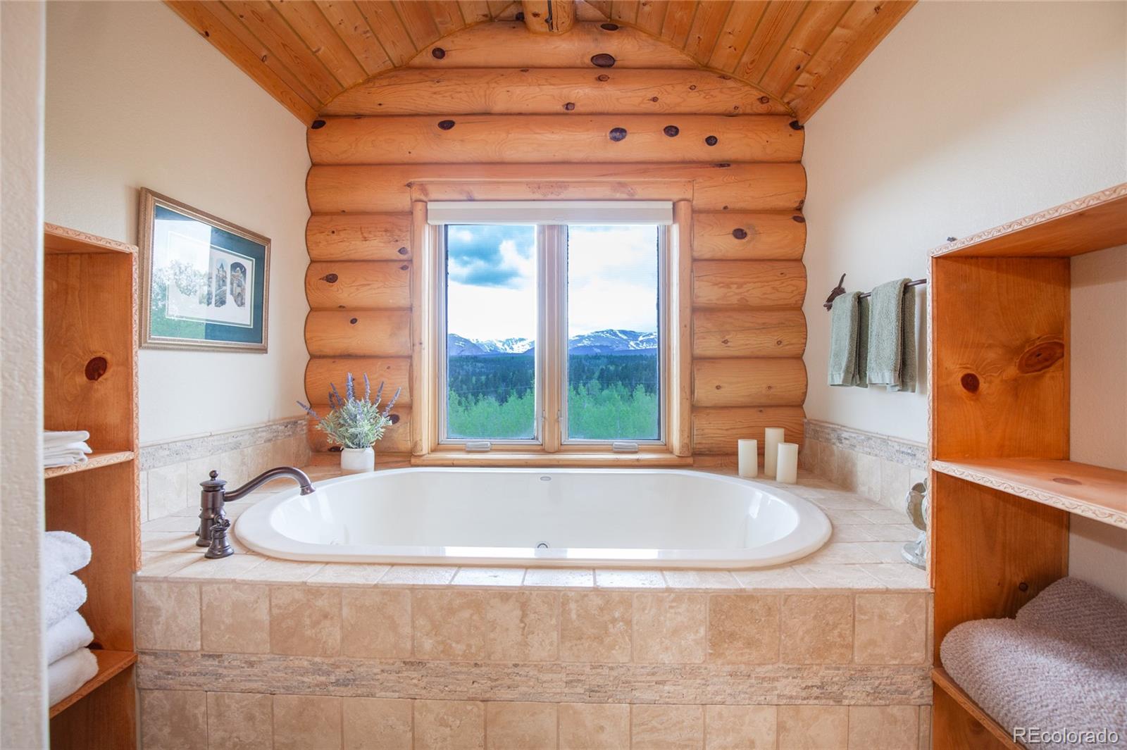 MLS Image #18 for 514  little baldy circle,fairplay, Colorado