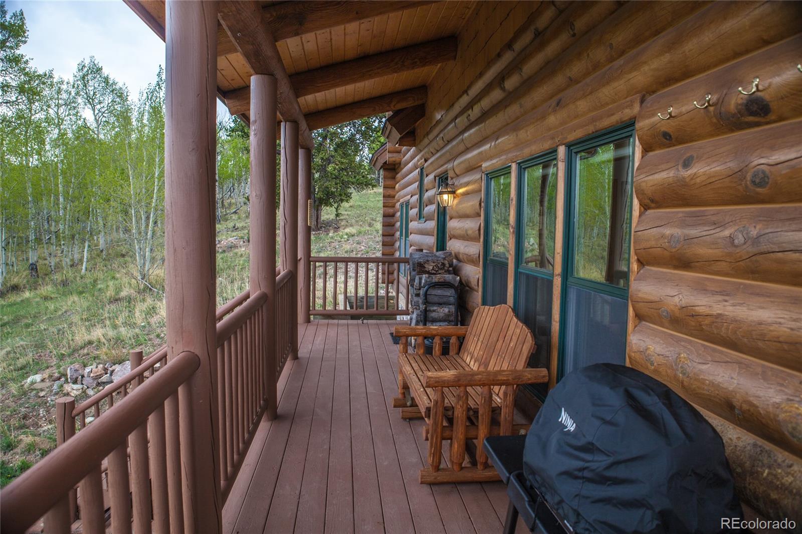 MLS Image #2 for 514  little baldy circle,fairplay, Colorado