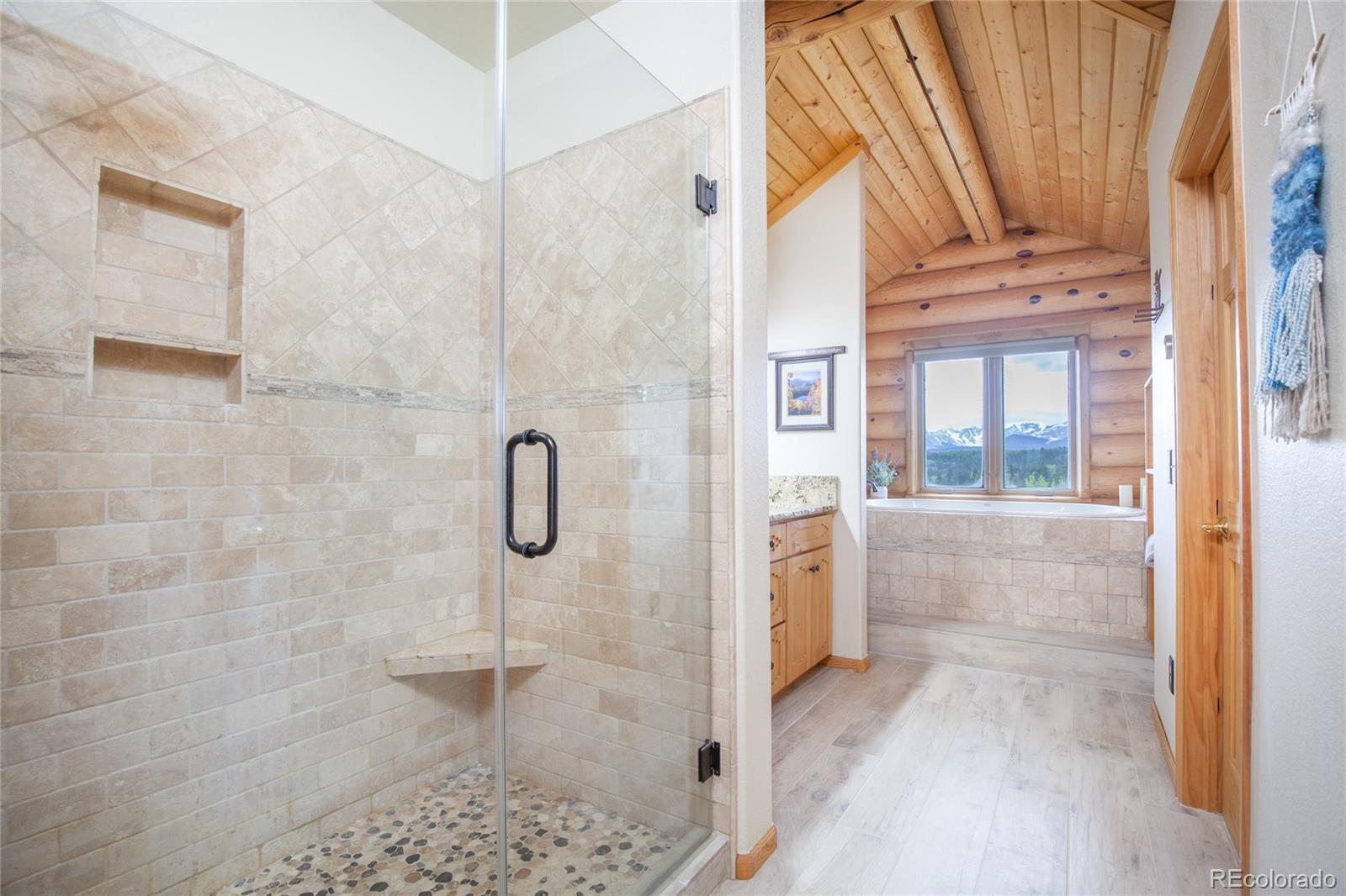 MLS Image #20 for 514  little baldy circle,fairplay, Colorado