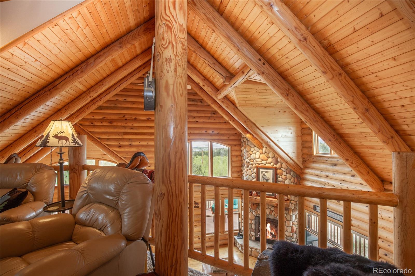 MLS Image #22 for 514  little baldy circle,fairplay, Colorado
