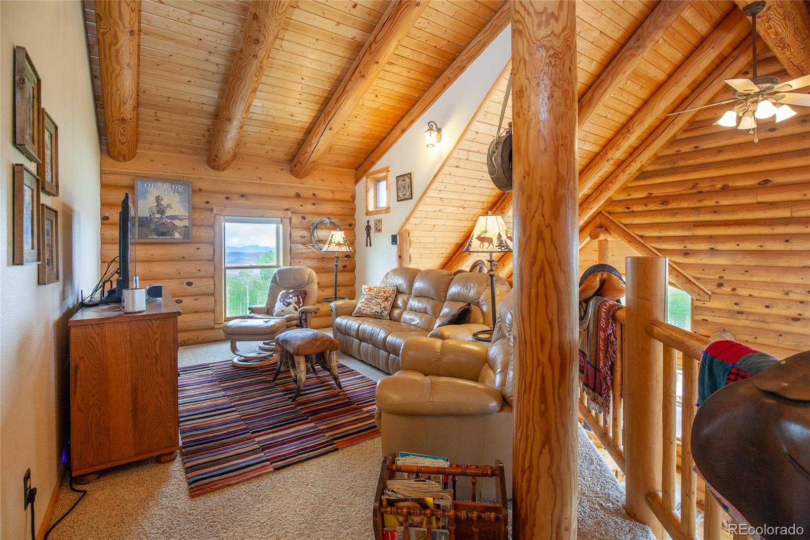 MLS Image #23 for 514  little baldy circle,fairplay, Colorado