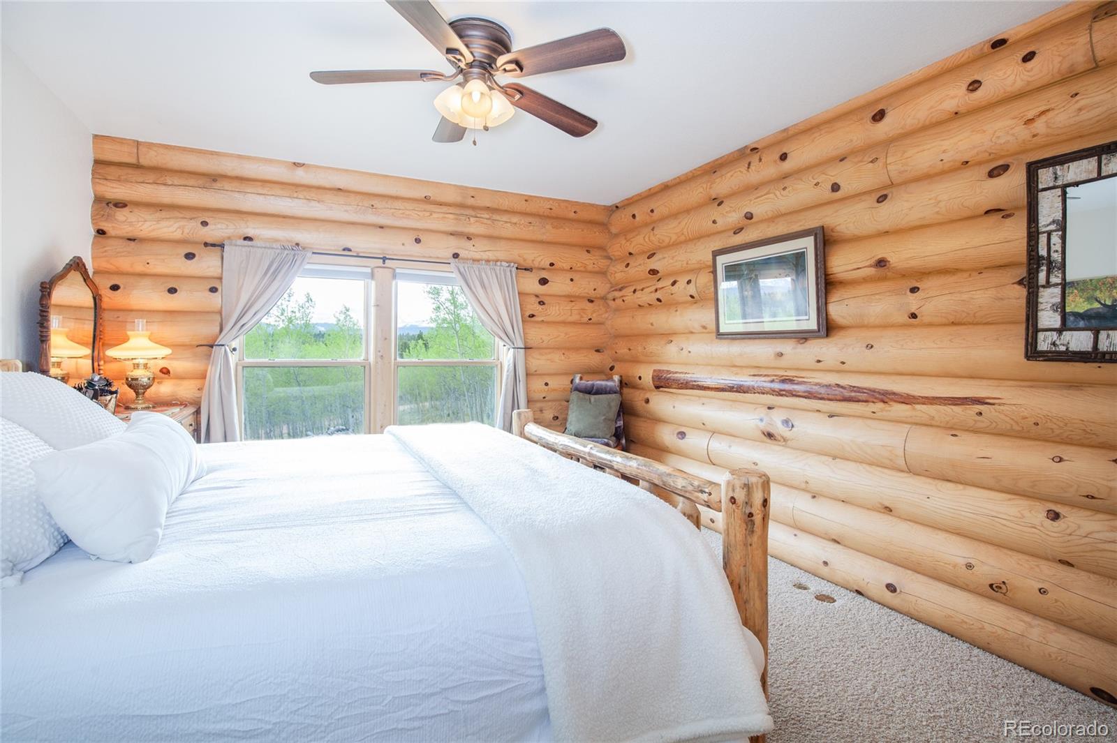 MLS Image #24 for 514  little baldy circle,fairplay, Colorado