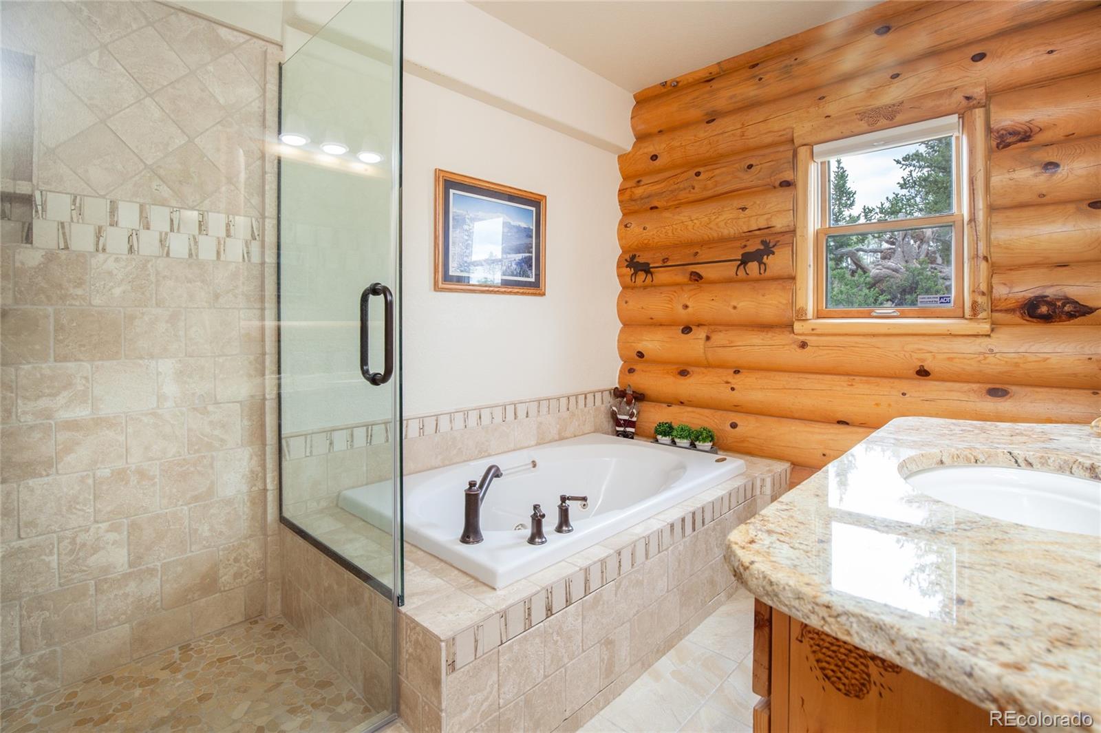 MLS Image #25 for 514  little baldy circle,fairplay, Colorado