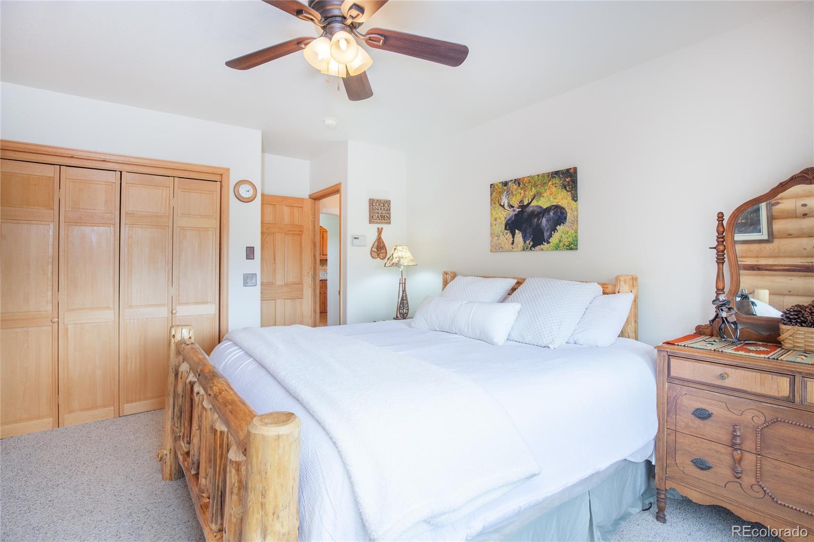 MLS Image #26 for 514  little baldy circle,fairplay, Colorado