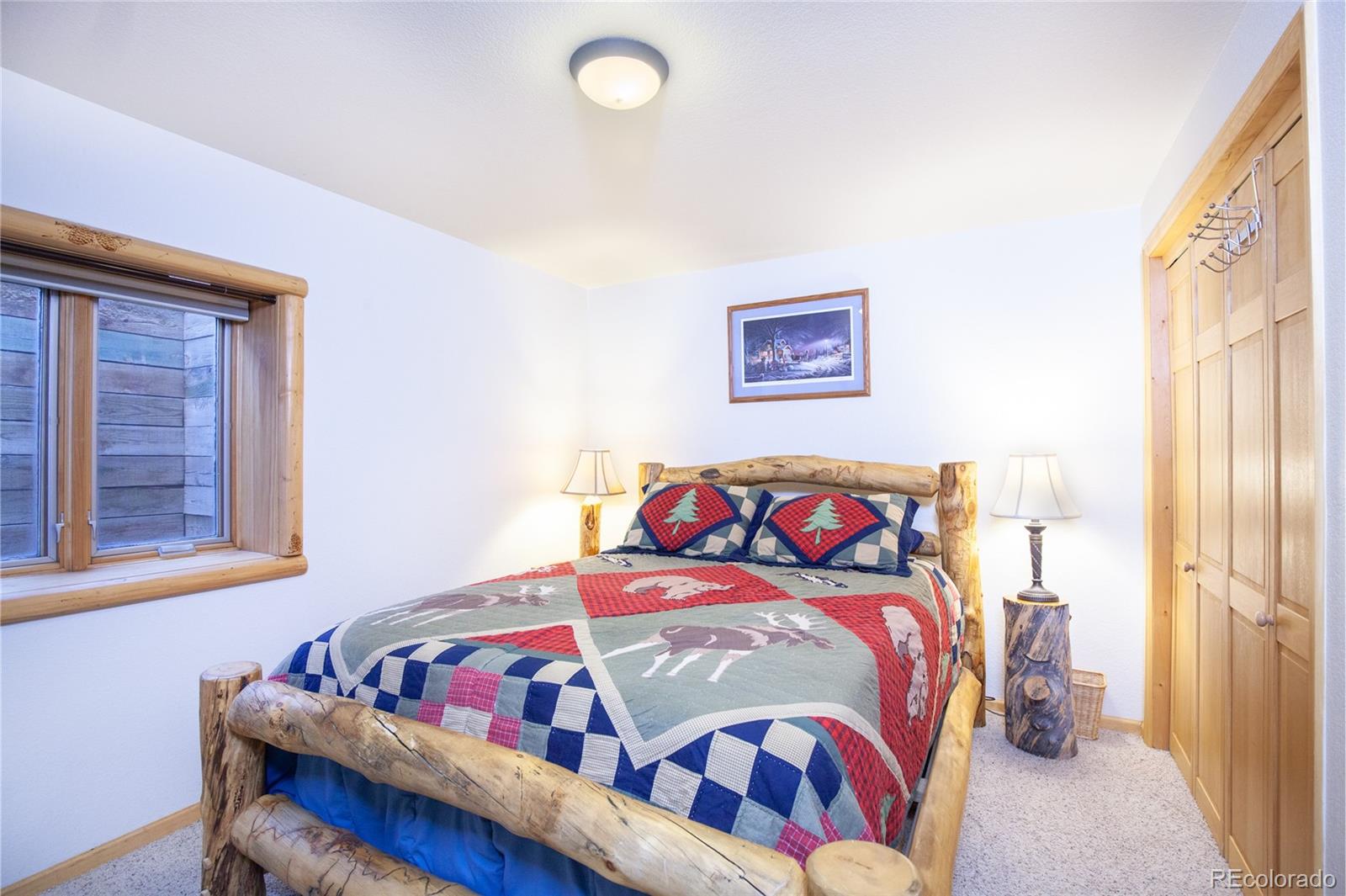 MLS Image #27 for 514  little baldy circle,fairplay, Colorado
