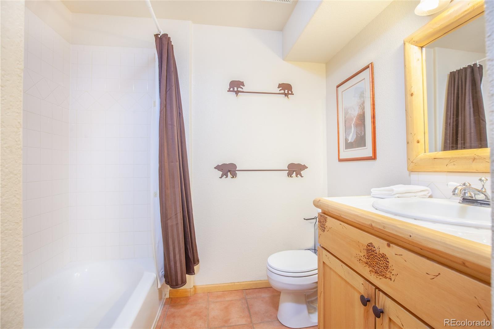 MLS Image #28 for 514  little baldy circle,fairplay, Colorado