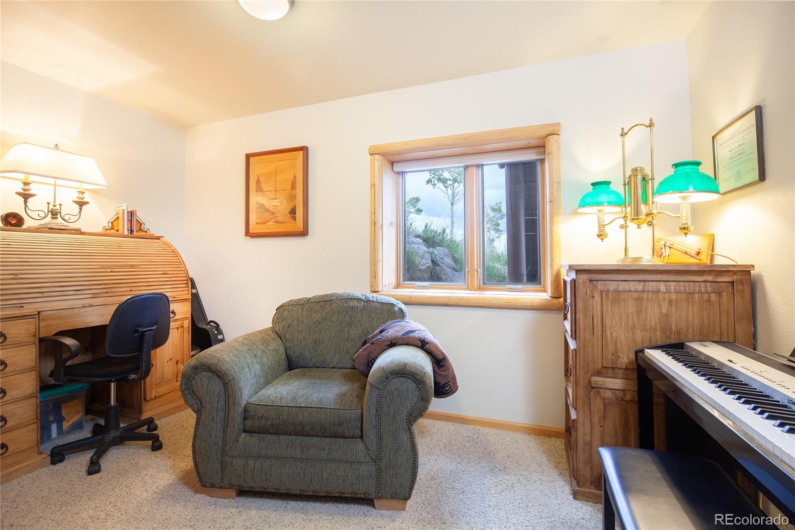 MLS Image #29 for 514  little baldy circle,fairplay, Colorado