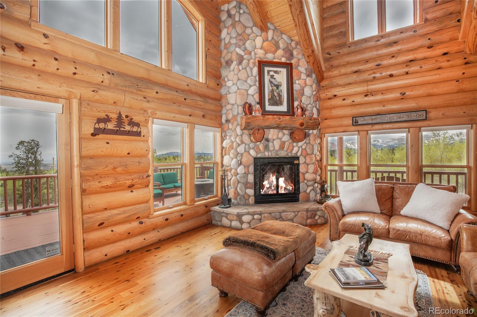 MLS Image #9 for 514  little baldy circle,fairplay, Colorado