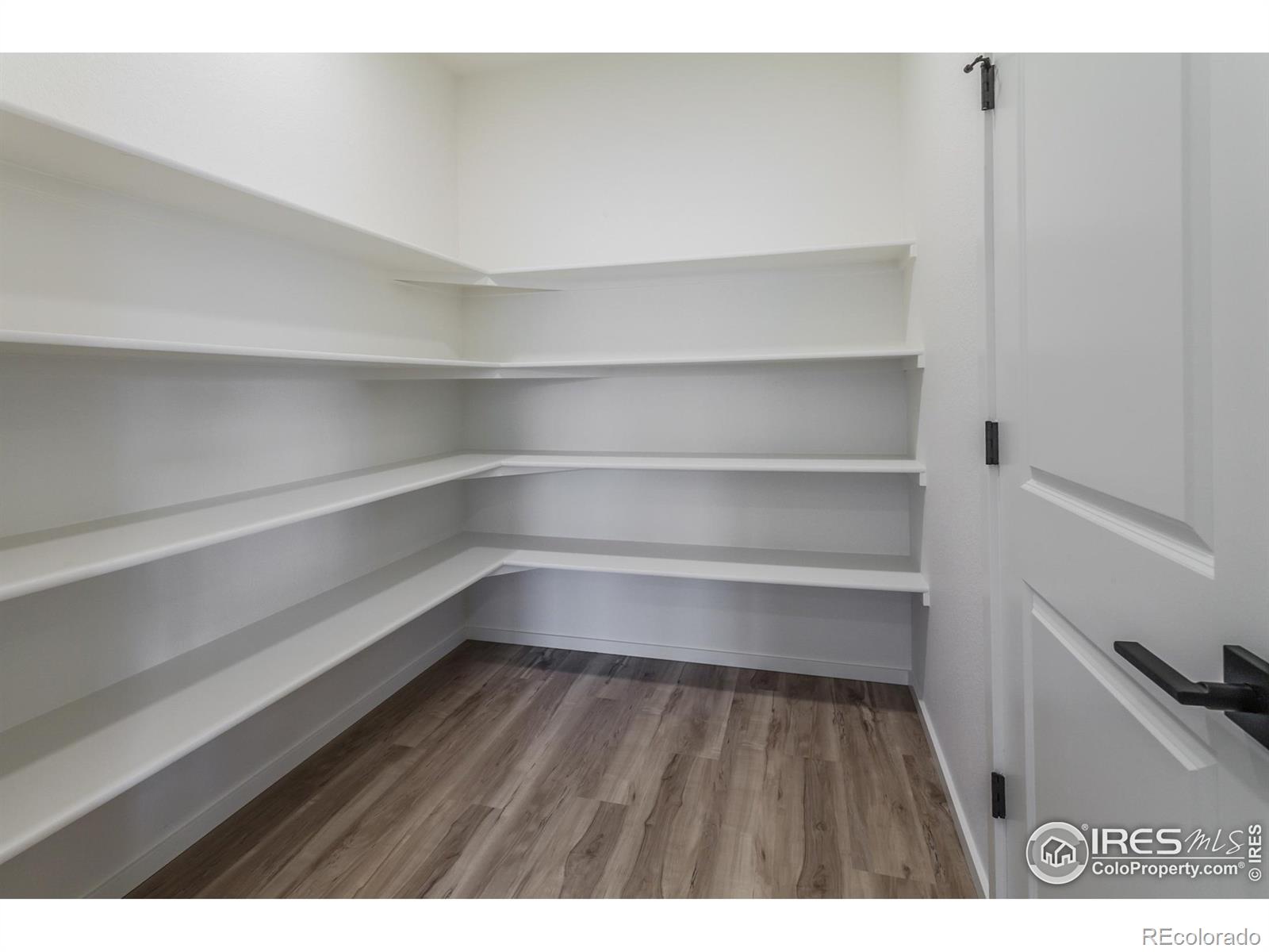 MLS Image #15 for 1600  sunflower way,johnstown, Colorado
