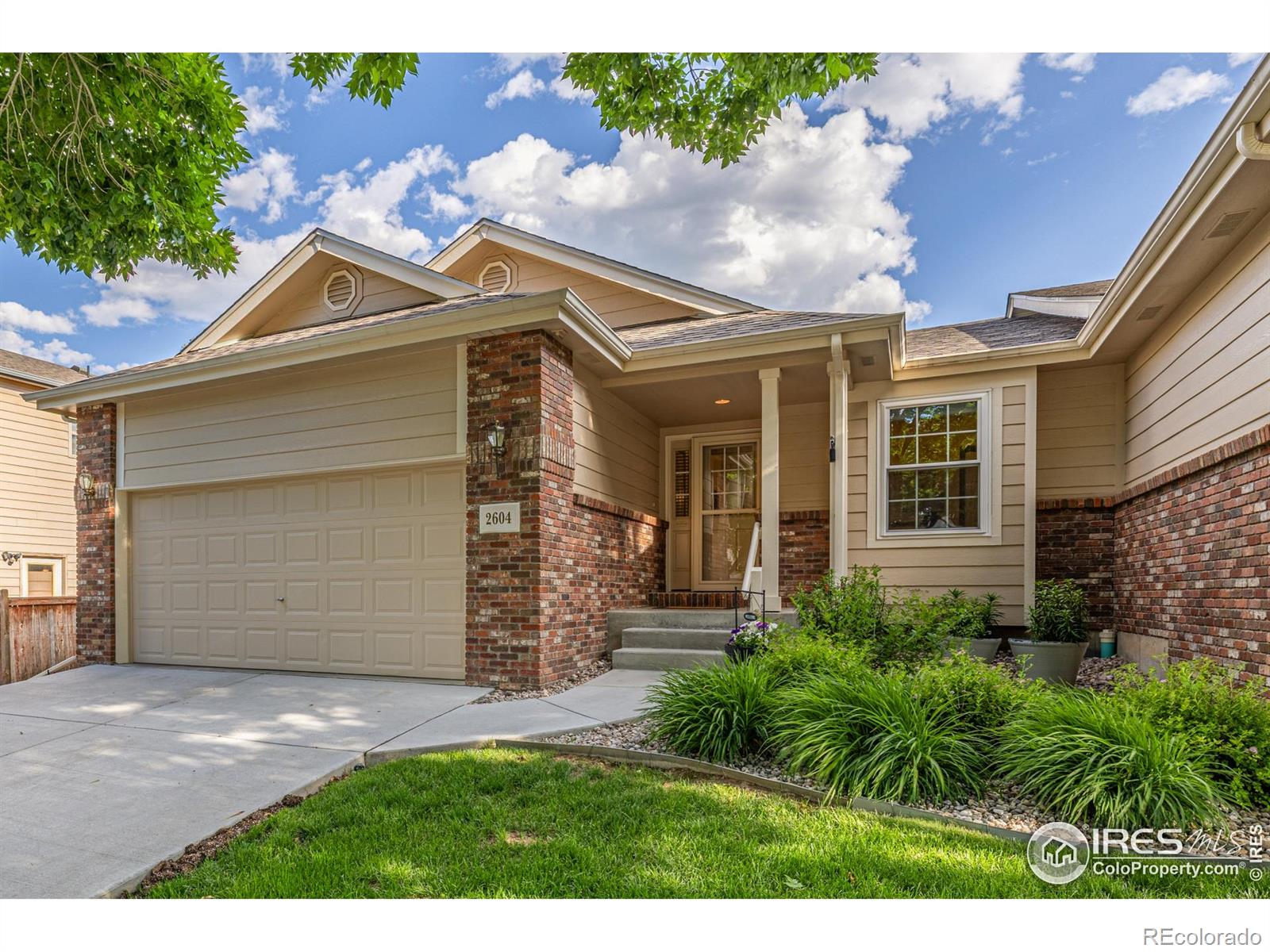 MLS Image #0 for 2604  anemonie drive,loveland, Colorado