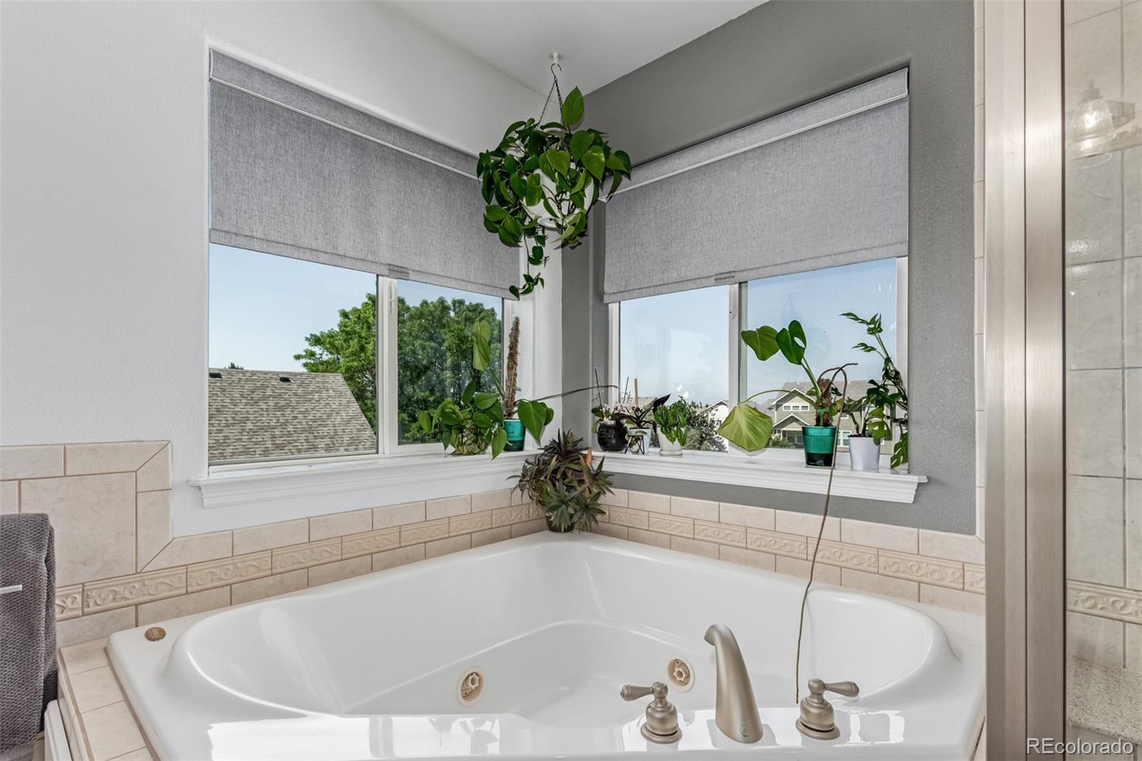 MLS Image #20 for 1451  red fox circle,severance, Colorado