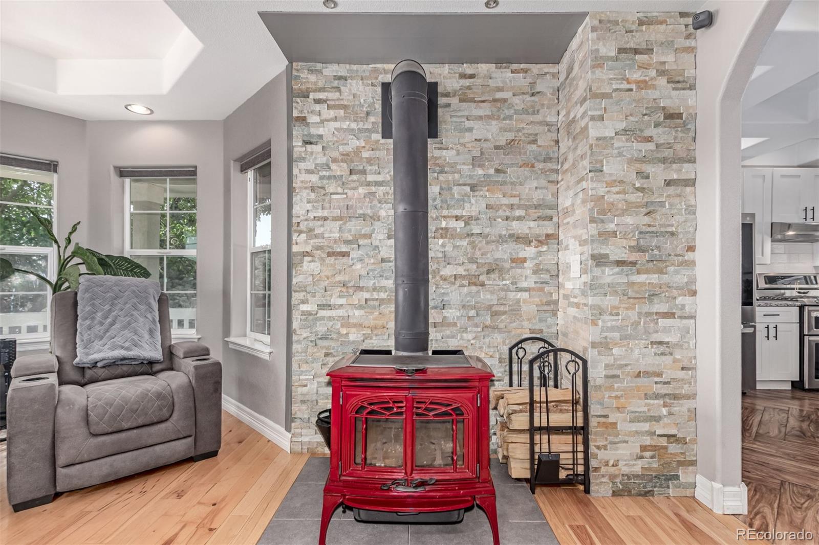 MLS Image #8 for 1451  red fox circle,severance, Colorado