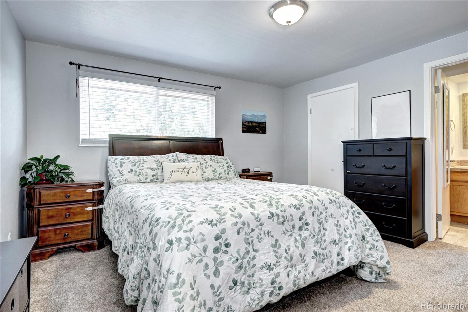 MLS Image #17 for 4856 e hinsdale place,centennial, Colorado