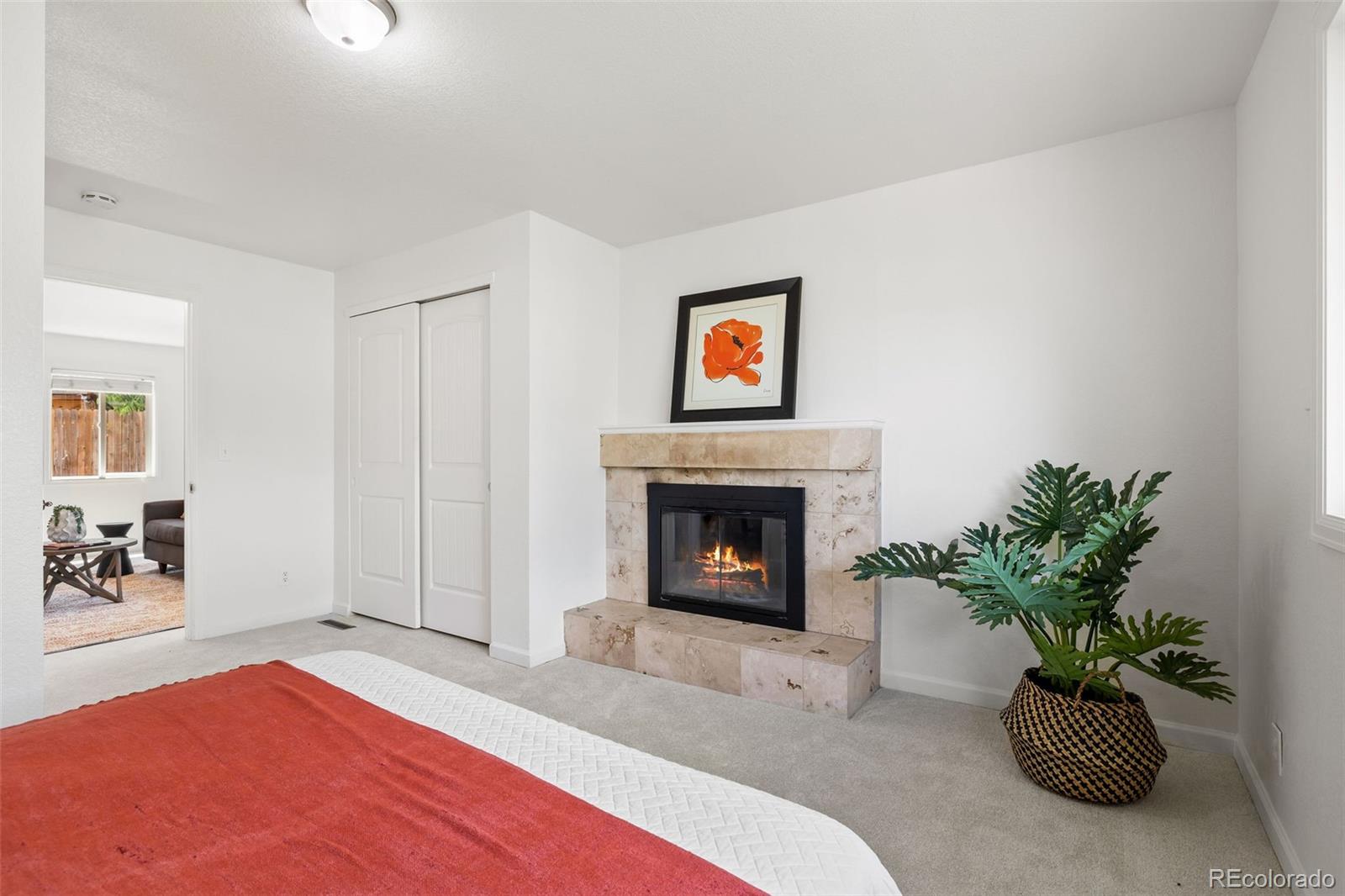 MLS Image #15 for 951 s osage street,denver, Colorado