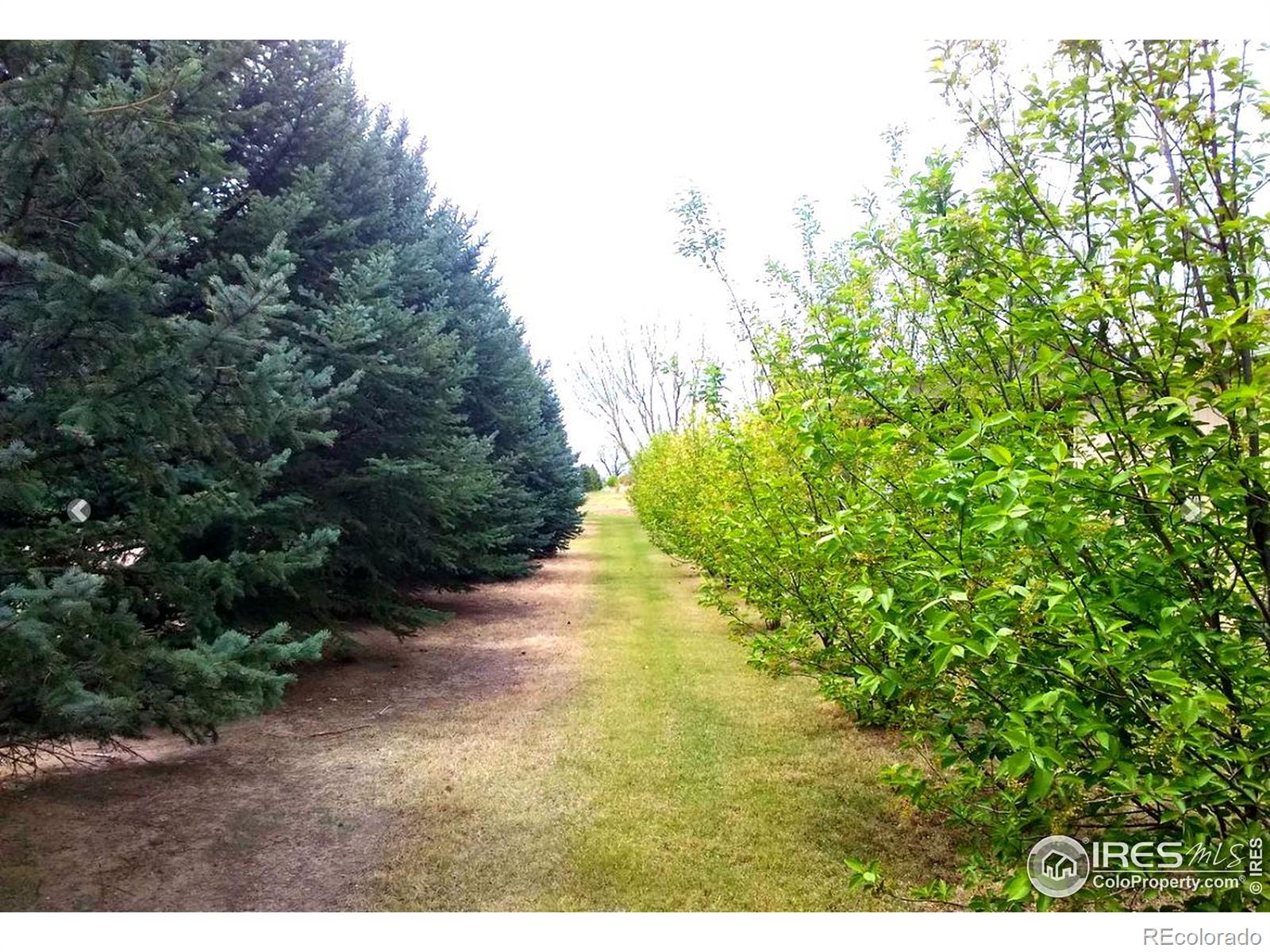 MLS Image #39 for 17680  county road q.8 ,fort morgan, Colorado