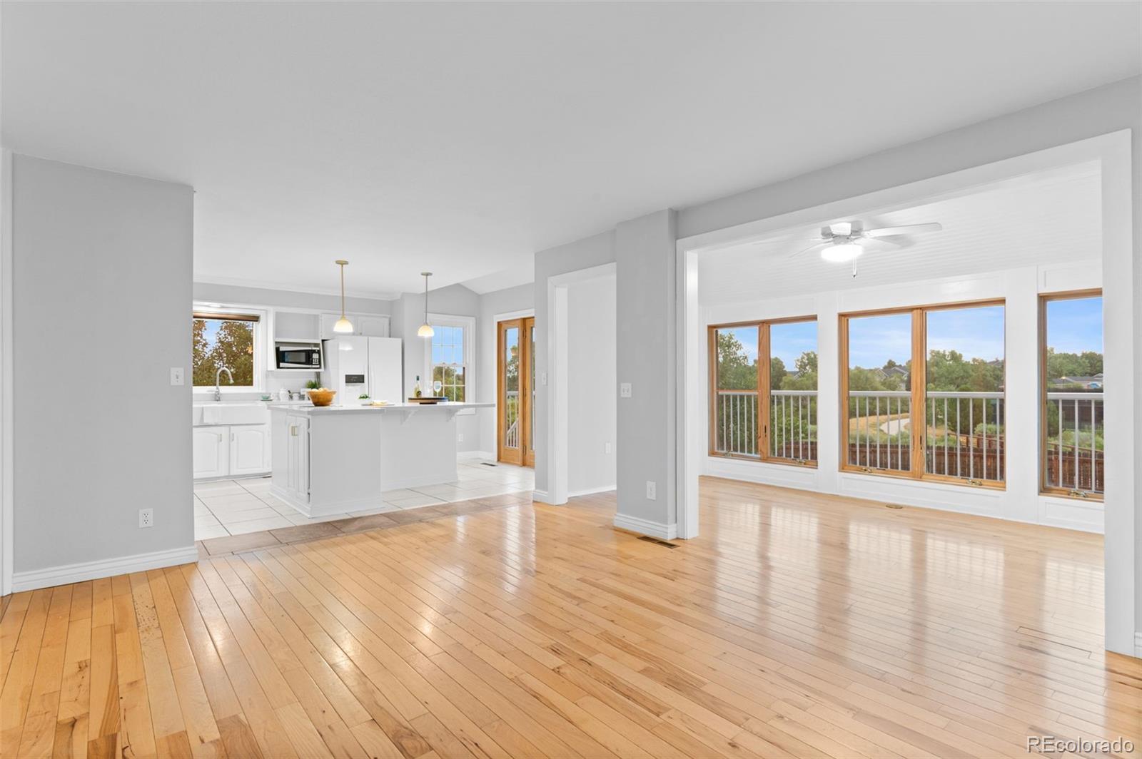 MLS Image #13 for 8385  sweet water road,lone tree, Colorado