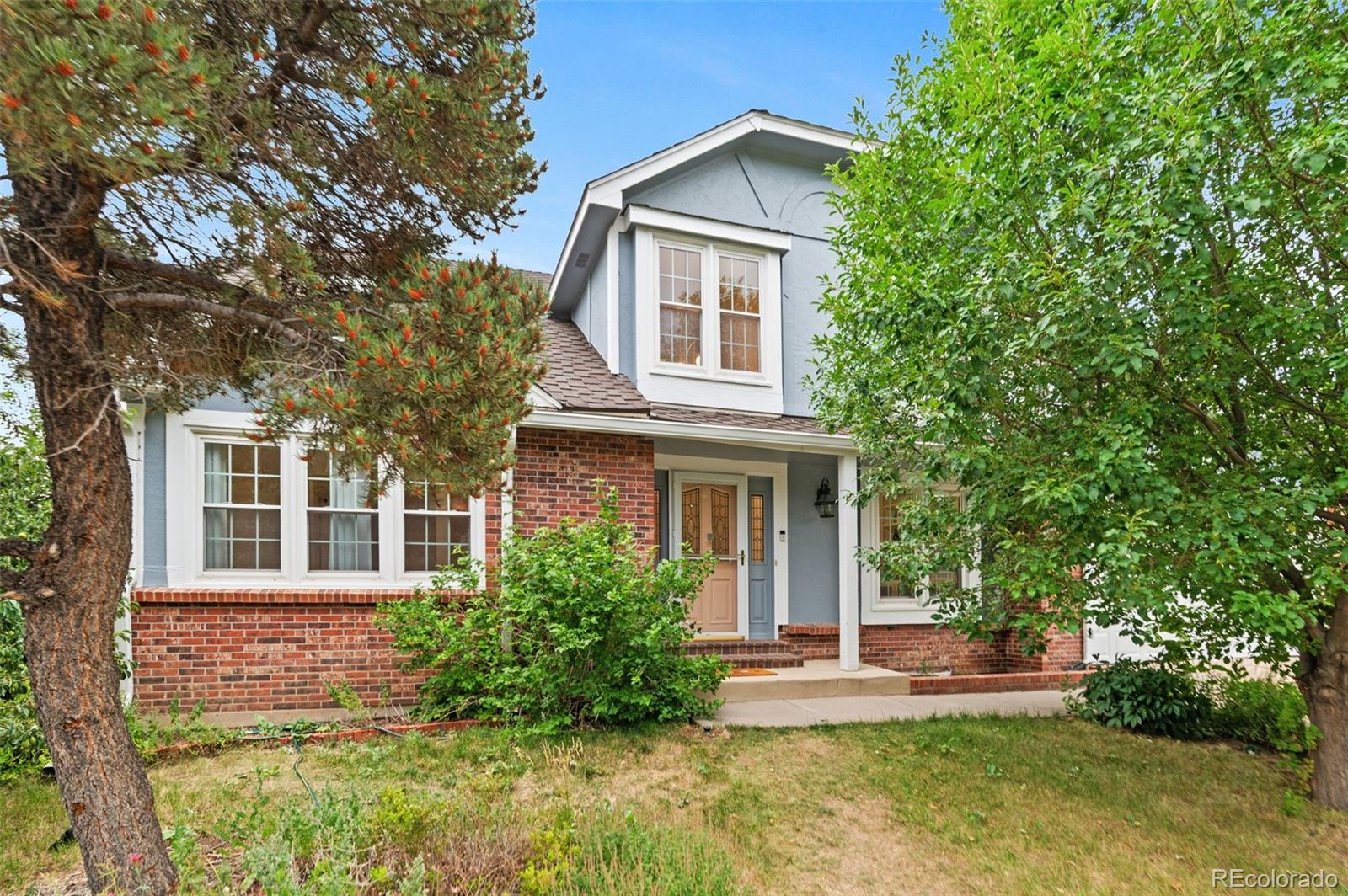 MLS Image #3 for 8385  sweet water road,lone tree, Colorado