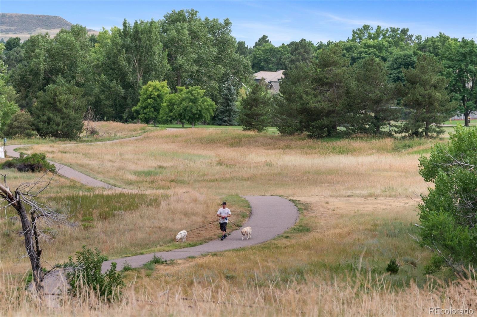 MLS Image #40 for 8385  sweet water road,lone tree, Colorado
